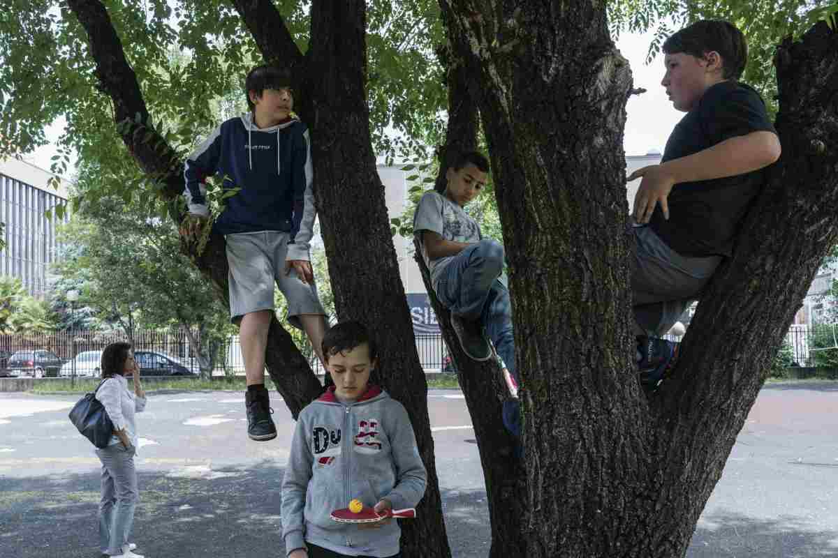 Bambini su un albero